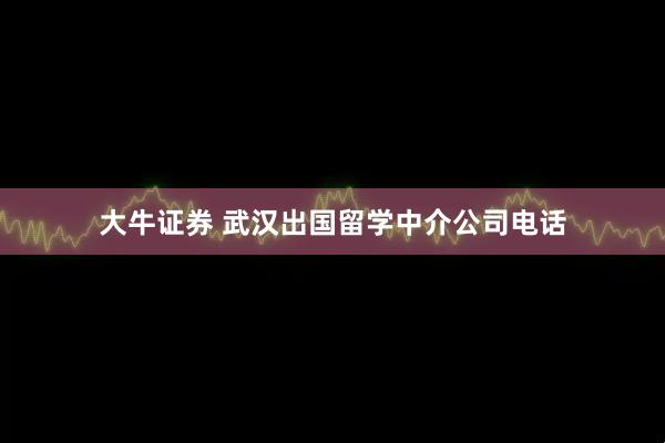 大牛证券 武汉出国留学中介公司电话