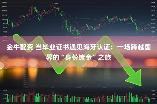 金牛配资 当毕业证书遇见海牙认证：一场跨越国界的“身份镀金”之旅