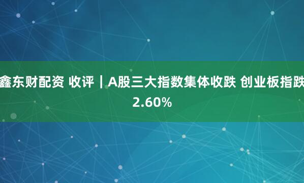 鑫东财配资 收评|A股三大指数集体收跌 创业板指跌2.60%