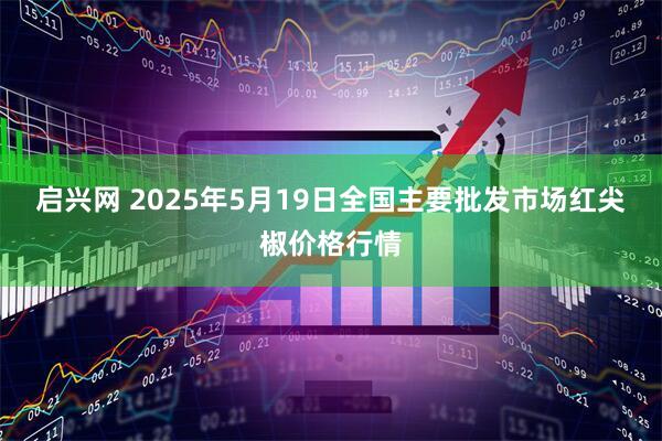 启兴网 2025年5月19日全国主要批发市场红尖椒价格行情