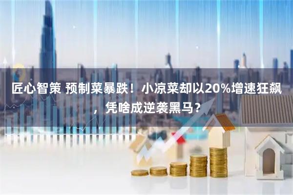 匠心智策 预制菜暴跌！小凉菜却以20%增速狂飙，凭啥成逆袭黑马？