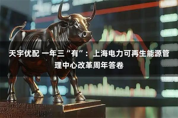 天宇优配 一年三“有”：上海电力可再生能源管理中心改革周年答卷