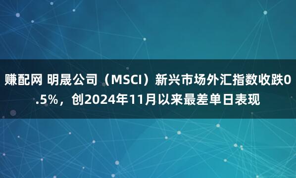 赚配网 明晟公司（MSCI）新兴市场外汇指数收跌0.5%，创2024年11月以来最差单日表现